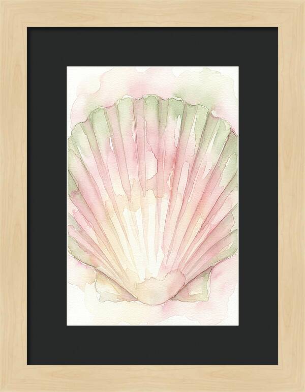 Scallop Shell Watercolor