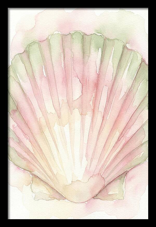Scallop Shell Watercolor