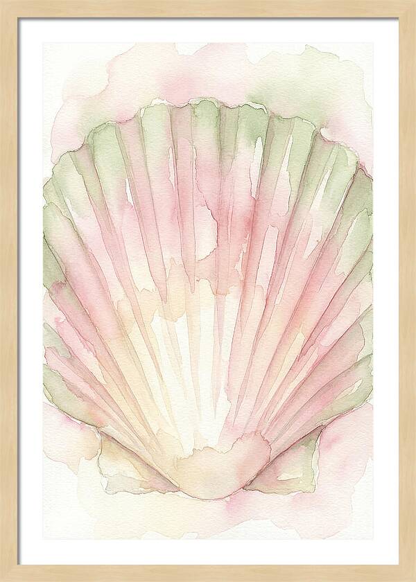 Scallop Shell Watercolor