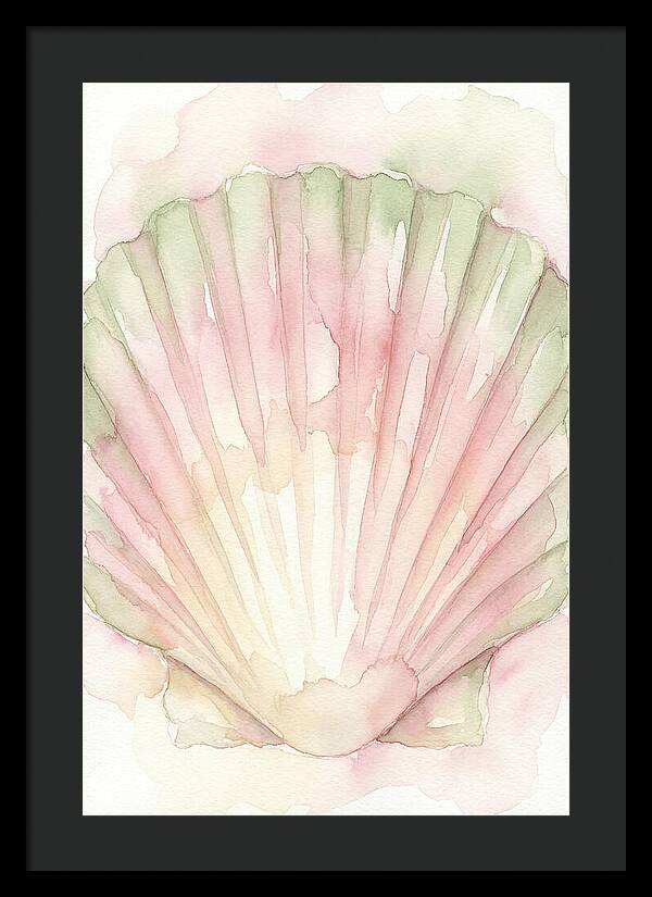 Scallop Shell Watercolor