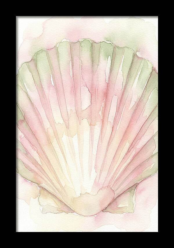 Scallop Shell Watercolor