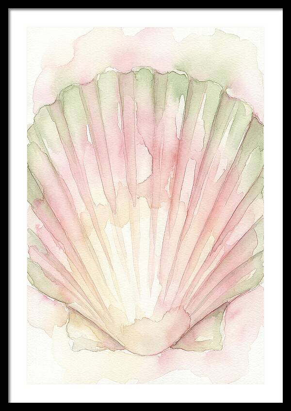 Scallop Shell Watercolor