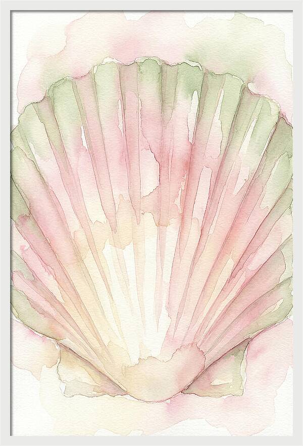 Scallop Shell Watercolor