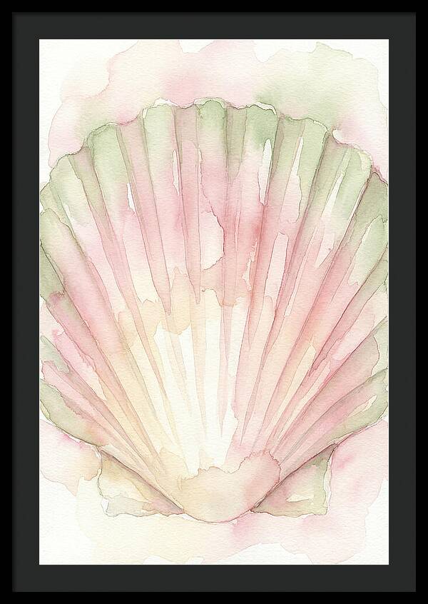 Scallop Shell Watercolor