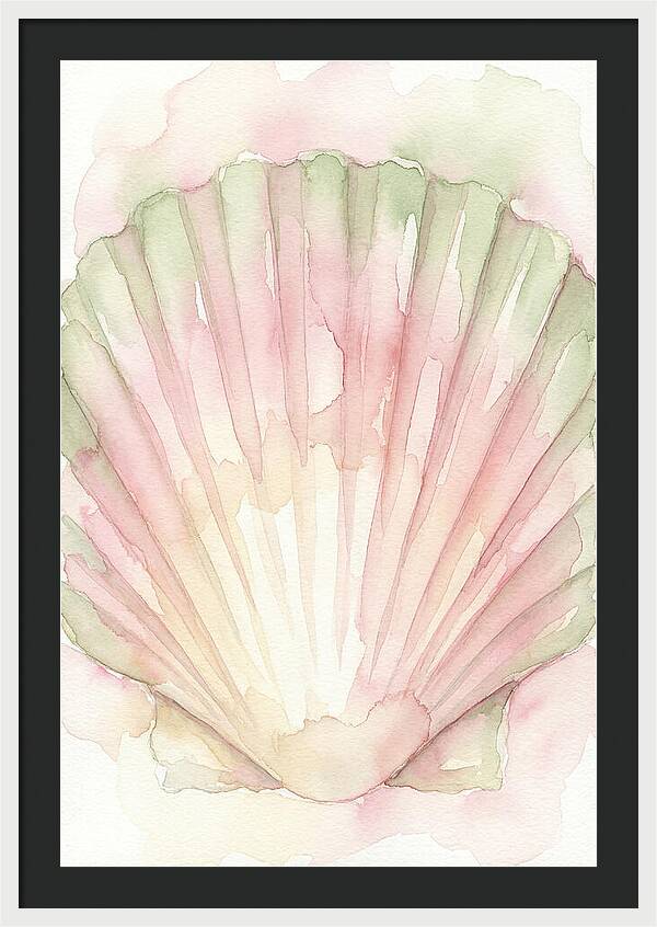 Scallop Shell Watercolor