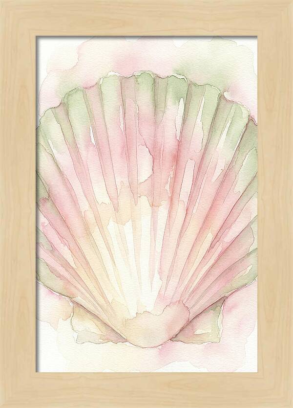 Scallop Shell Watercolor