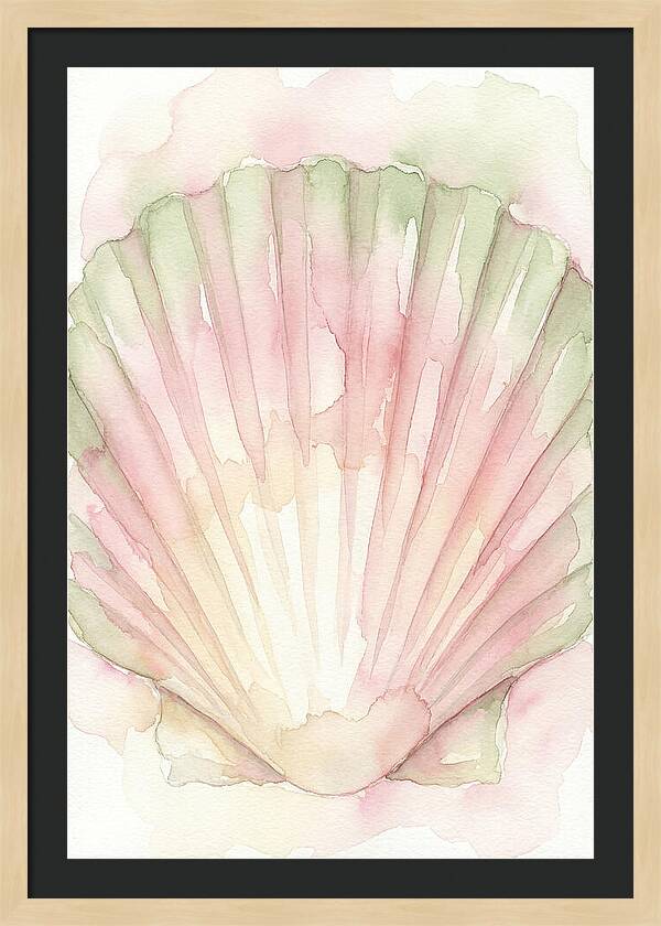 Scallop Shell Watercolor