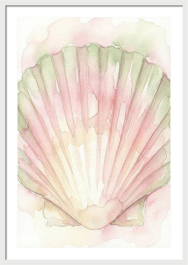 Scallop Shell Watercolor