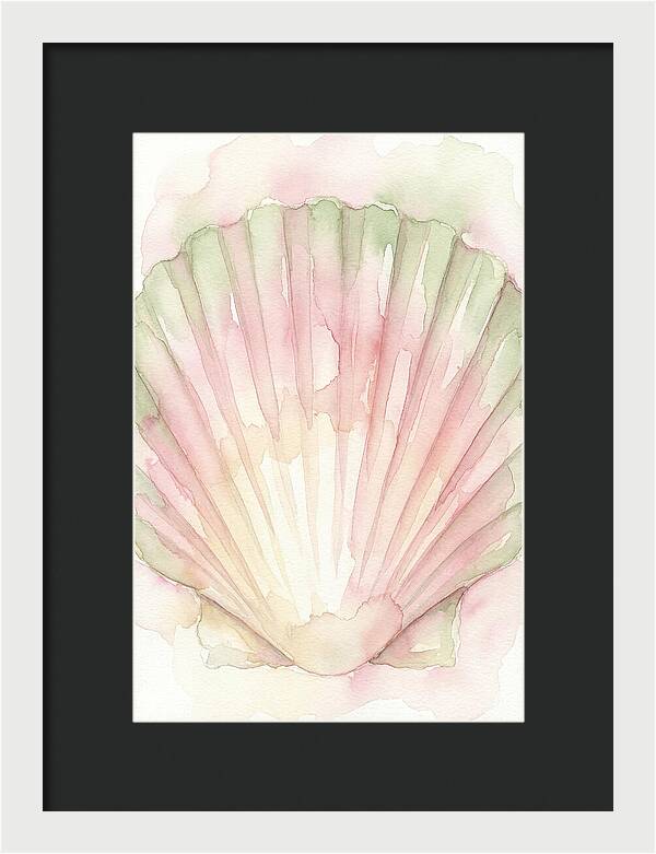 Scallop Shell Watercolor