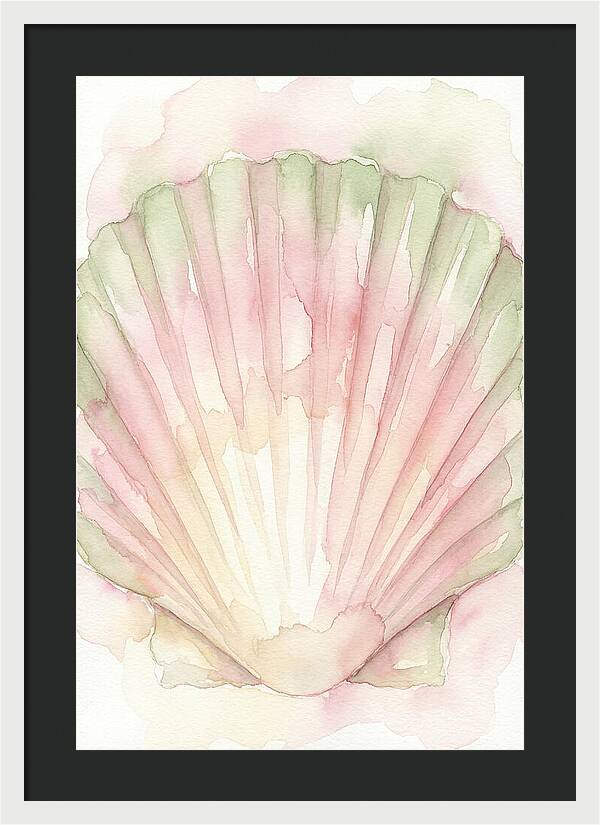 Scallop Shell Watercolor