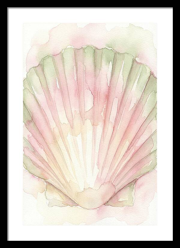 Scallop Shell Watercolor