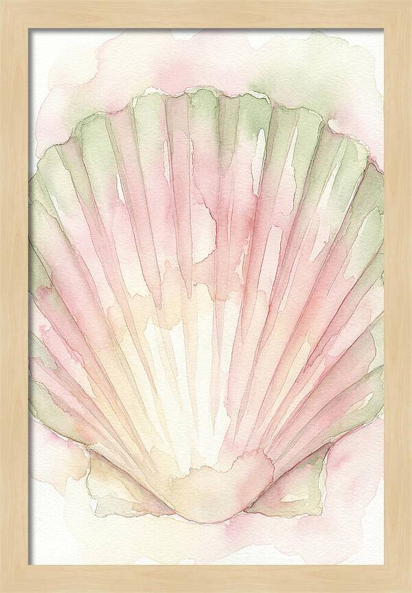 Scallop Shell Watercolor
