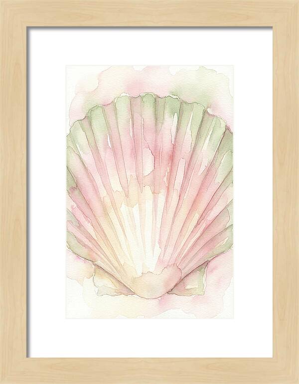 Scallop Shell Watercolor