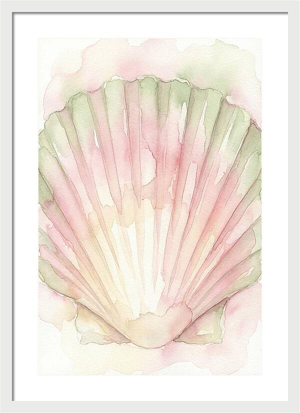 Scallop Shell Watercolor