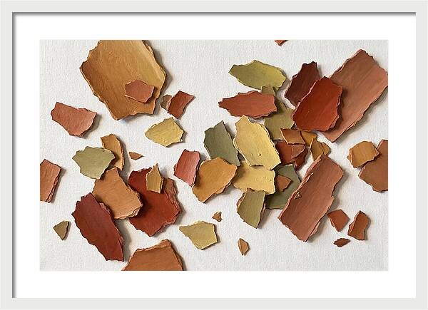 Scattered Paint Chips