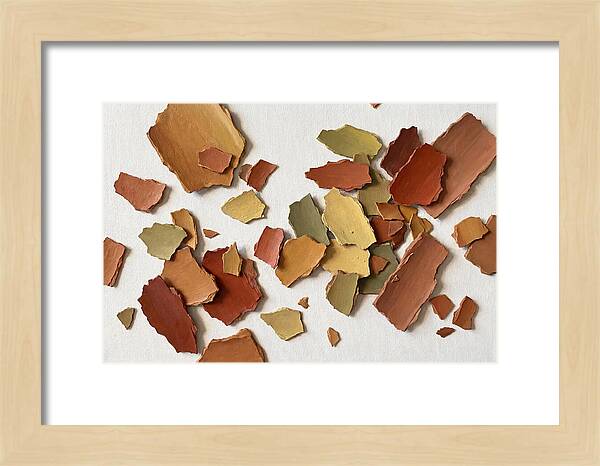 Scattered Paint Chips