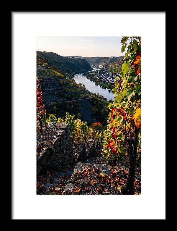 Scenic Overlook Of Mosel Valley