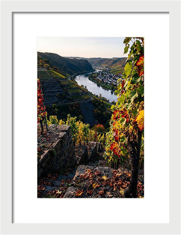 Scenic Overlook Of Mosel Valley