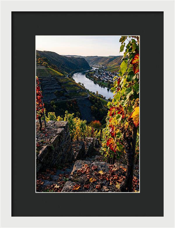 Scenic Overlook Of Mosel Valley