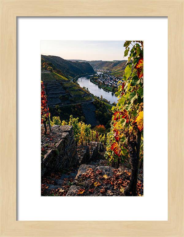 Scenic Overlook Of Mosel Valley