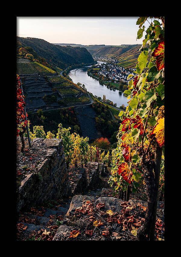 Scenic Overlook Of Mosel Valley