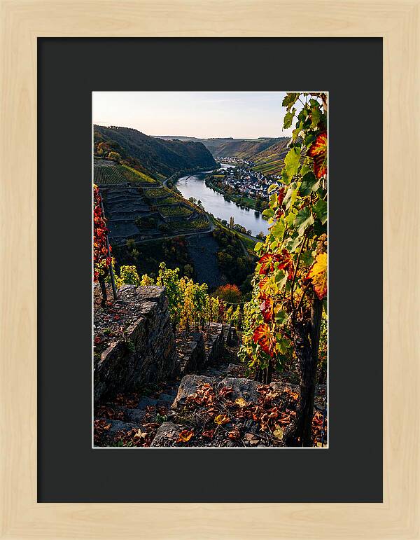 Scenic Overlook Of Mosel Valley