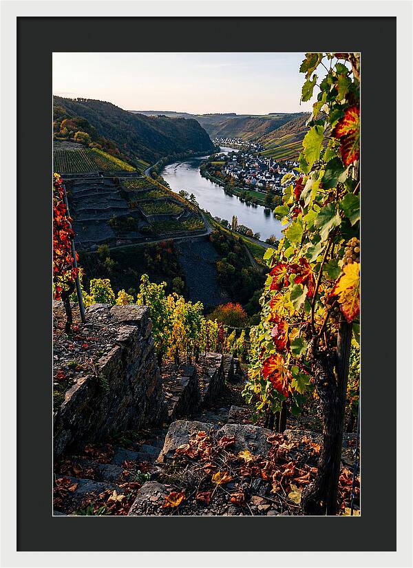 Scenic Overlook Of Mosel Valley