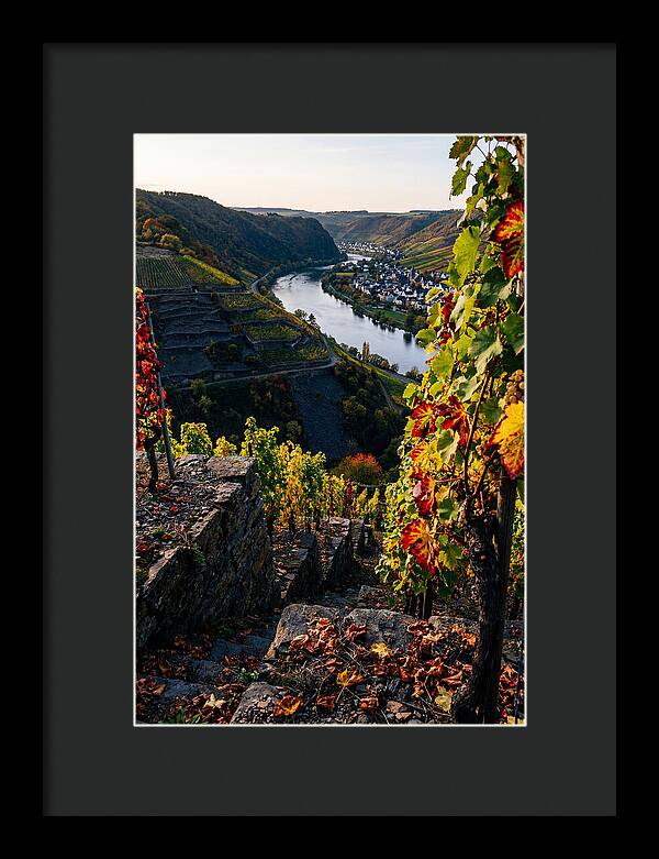 Scenic Overlook Of Mosel Valley