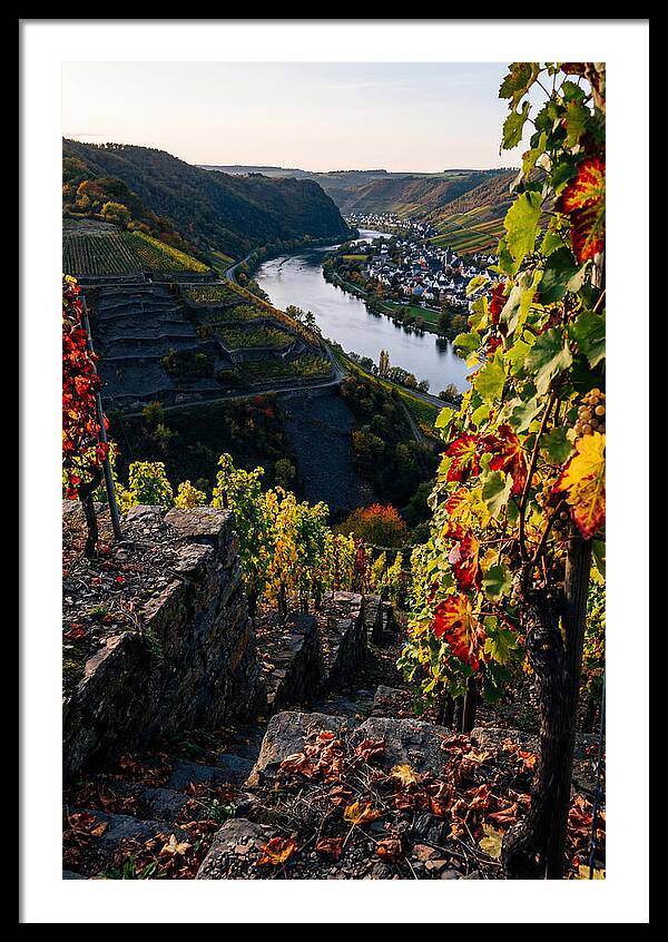 Scenic Overlook Of Mosel Valley