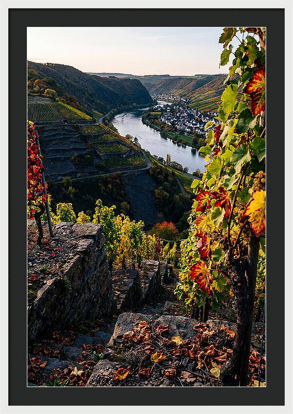 Scenic Overlook Of Mosel Valley