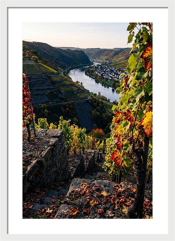 Scenic Overlook Of Mosel Valley