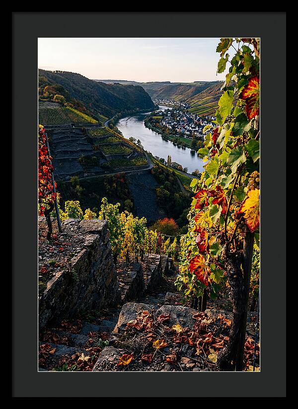 Scenic Overlook Of Mosel Valley