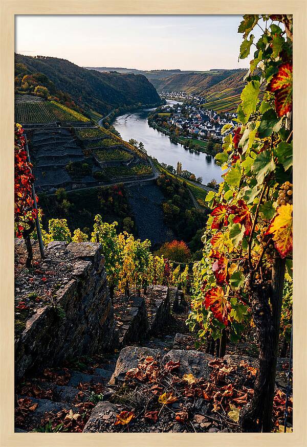 Scenic Overlook Of Mosel Valley