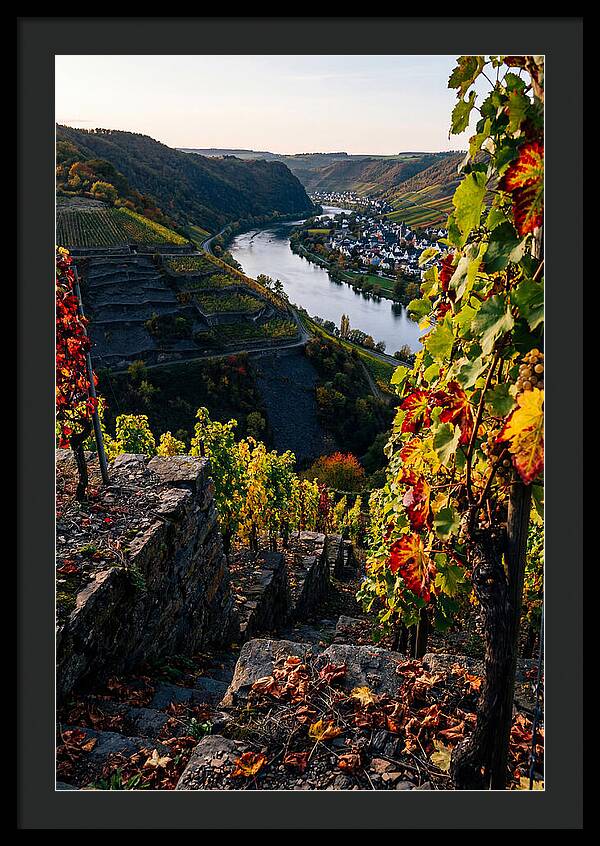 Scenic Overlook Of Mosel Valley