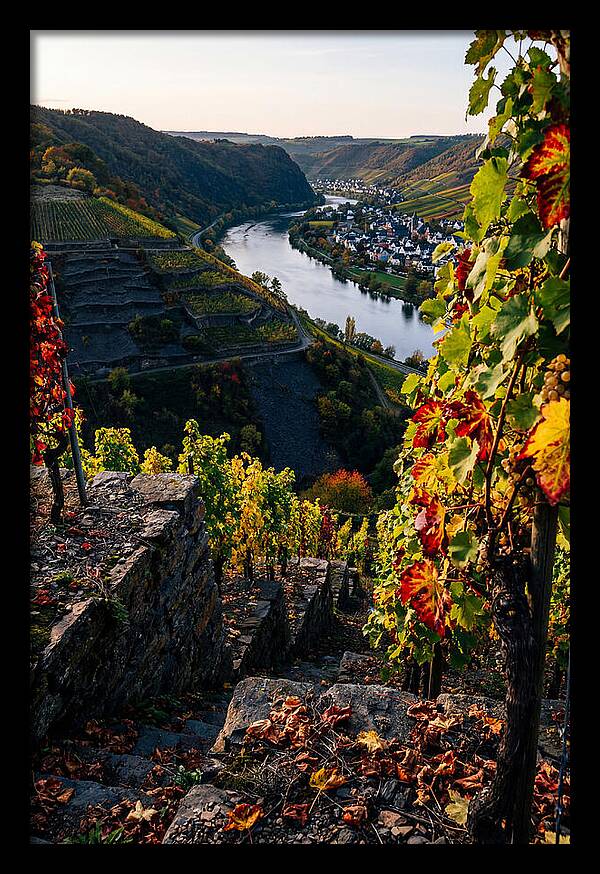 Scenic Overlook Of Mosel Valley