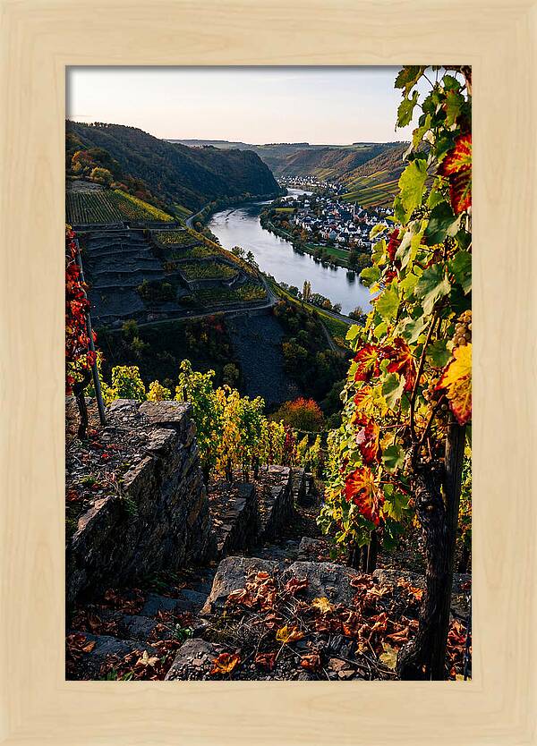 Scenic Overlook Of Mosel Valley