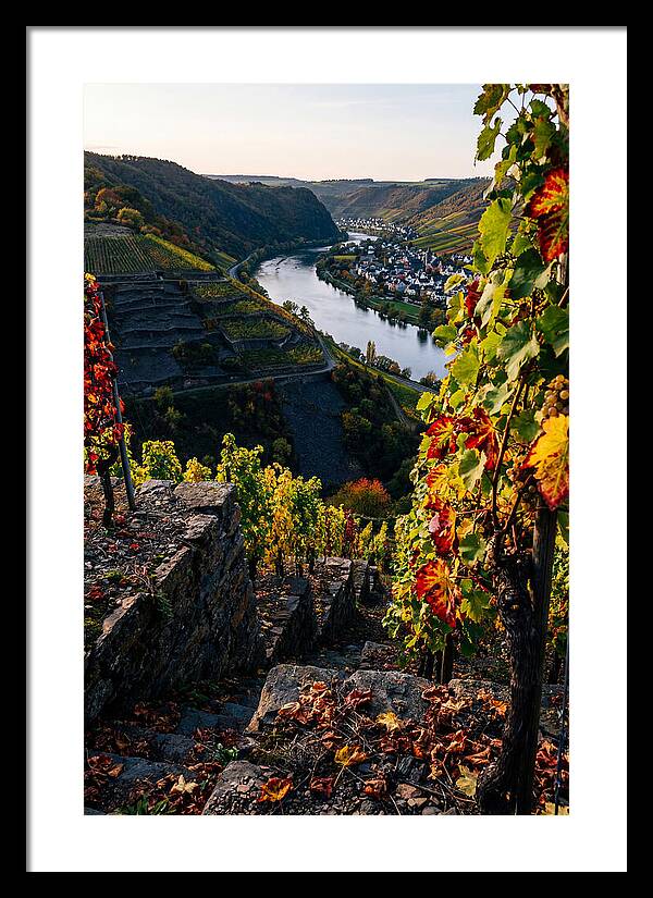 Scenic Overlook Of Mosel Valley