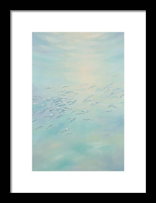 School Of Silver Fish In Sunlit Shallow