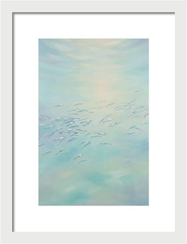 School Of Silver Fish In Sunlit Shallow