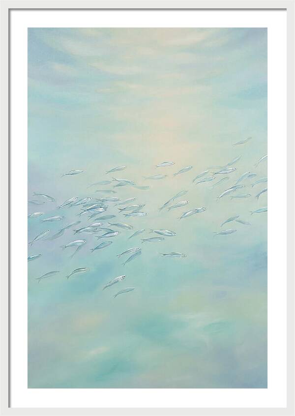 School Of Silver Fish In Sunlit Shallow
