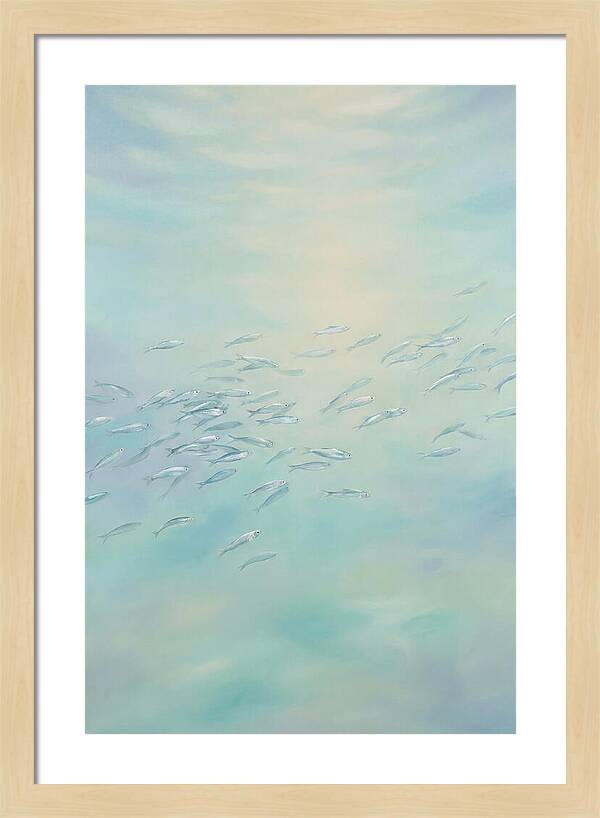 School Of Silver Fish In Sunlit Shallow