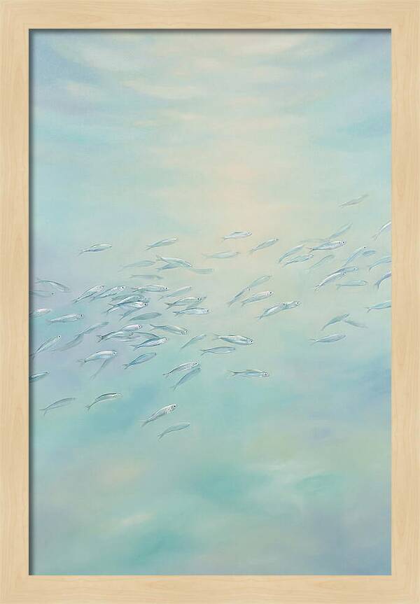 School Of Silver Fish In Sunlit Shallow