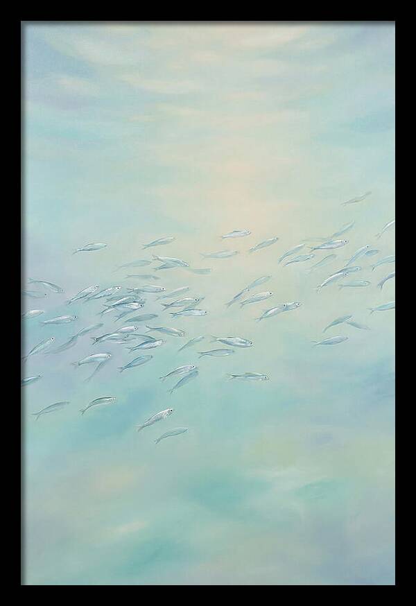 School Of Silver Fish In Sunlit Shallow