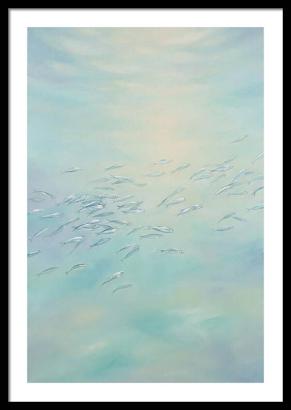 School Of Silver Fish In Sunlit Shallow