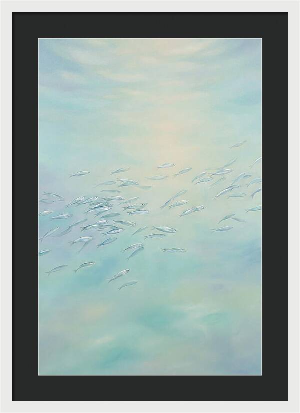 School Of Silver Fish In Sunlit Shallow