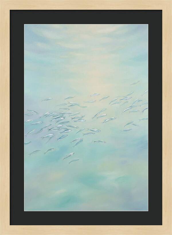 School Of Silver Fish In Sunlit Shallow