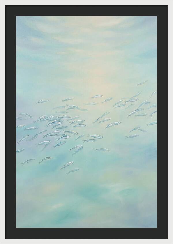 School Of Silver Fish In Sunlit Shallow