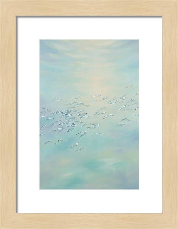 School Of Silver Fish In Sunlit Shallow
