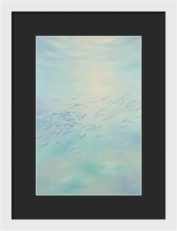 School Of Silver Fish In Sunlit Shallow