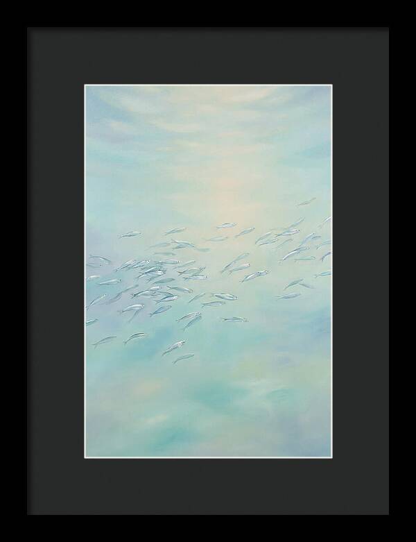 School Of Silver Fish In Sunlit Shallow